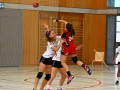 IMG 6535