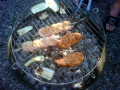 grill 2