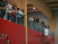 img 41931