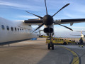 porec tag6 005